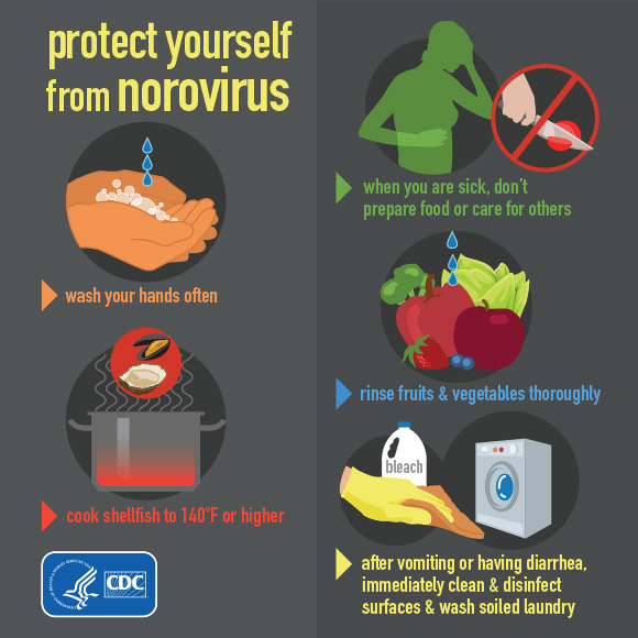 the CDC to remember key steps in avoidance and recovery from the norovirus