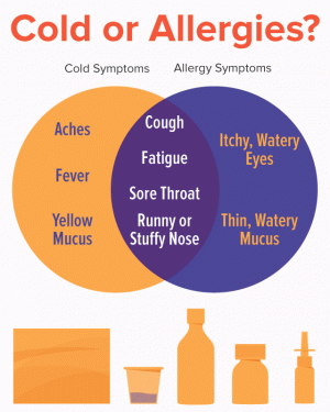 Allergy Treatment - Hickory, NC