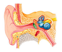 Ear infection Symptoms