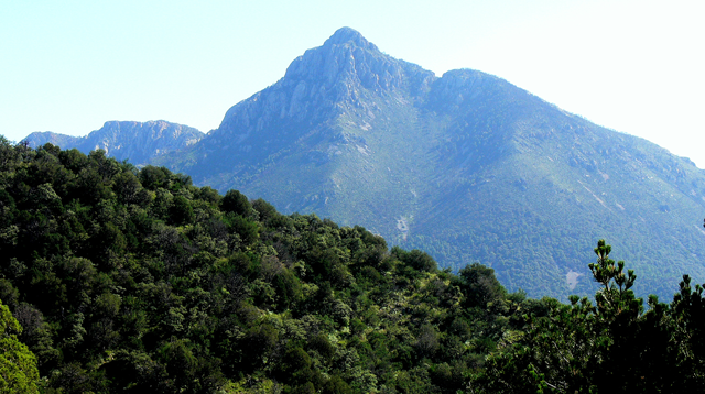 Santa Rita Mountains