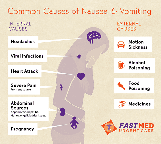 Common Causes of Vomiting [Infographic]