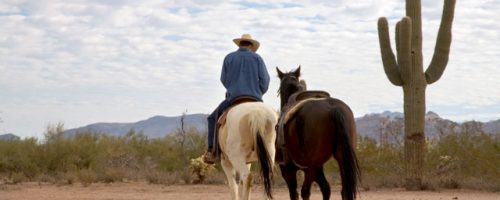 man riding a horse in the desert