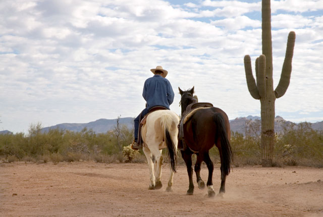 man riding a horse in the desert